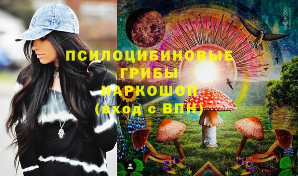 бошки Алексеевка