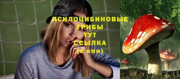 трава Абдулино