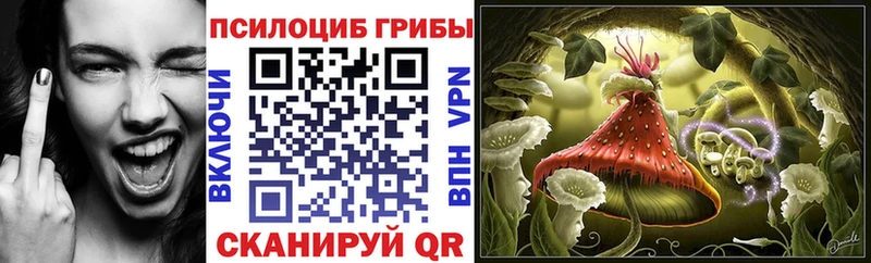 Псилоцибиновые грибы Magic Shrooms Советская Гавань